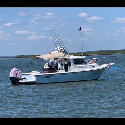Profile Picture of Josh Mattei (@joshmattei2) on Twitter