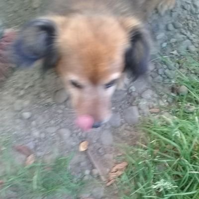 Profile Picture of Andrea :) (@AndreaHoran77) on Twitter