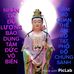 Profile Picture of Alex Vo (@alex.vo.37625) on Facebook