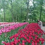 Profile Picture of Nancy Argoncillo (@argoncillonancy) on Instagram