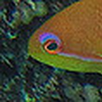 Profile Picture of Ron Richardson (@ronrichardson) on Flickr