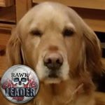 Profile Picture of Sharron Evans (@sharron.evans1) on Instagram