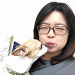 Profile Picture of Janice Chou (@janice.zhou) on Instagram