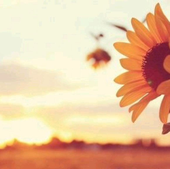 Makayla Ragle - Poshmark Profile Picture of Makayla Ragle (@makaylaragle) on Poshmark