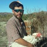 Profile Picture of Walter Campos (@campos_wisky) on Instagram