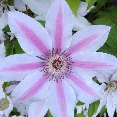 Profile Picture of Michelle Michaluk (@MMichaluk) on Twitter