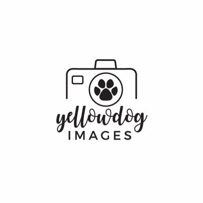 Profile Picture of Yellowdog Images (@TammieBaker20) on Twitter