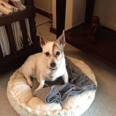 Profile Picture of Kim Reardon (@kimr0612) on Twitter