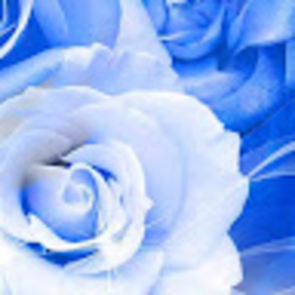 Profile Picture of Audrey Pearson (@audreypearsonbv) on Poshmark