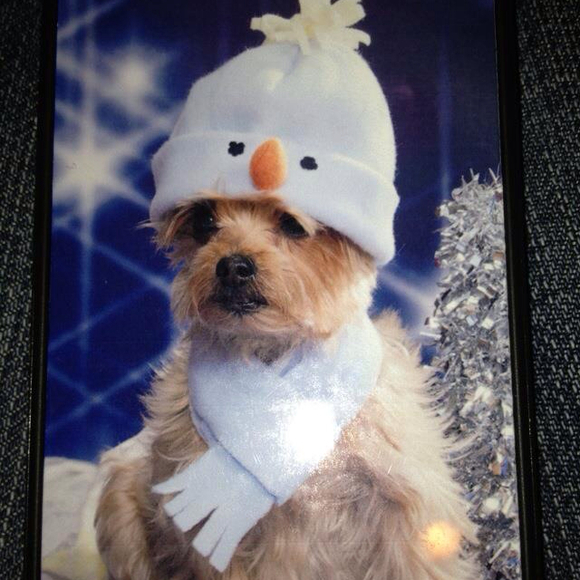 Profile Picture of Liz Gabrick (@lizbarrygabrick) on Poshmark