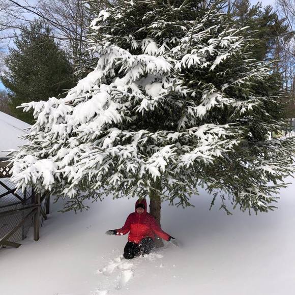 Profile Picture of Erica Lafontaine (@ericam904) on Poshmark