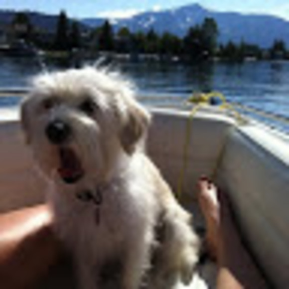 Profile Picture of Shannon Anunsen (@soneillfsu) on Poshmark