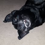 Jason Bayley - Facebook Profile Picture of Jason Bayley (@jason.bayley.792) on Facebook