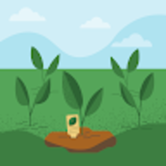 Profile Picture of Julio Velarde (@juliovelarde) on Poshmark