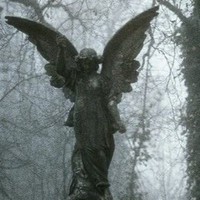 Profile Picture of Isabella Hanson (@isabella-hanson-27) on Quora