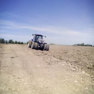 Profile Picture of Brian Olivas (@490e49e101df446) on Twitter