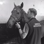 Jim Hurden - Instagram Profile Picture of Jim Hurden (@animalosteojim) on Instagram