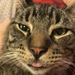 Jonathan Hunstad - Facebook Profile Picture of Jonathan Hunstad (@jonathan.hunstad.1) on Facebook