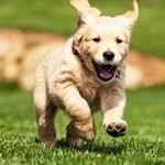 Profile Picture of Michael Terranova (@mnova1120) on Instagram