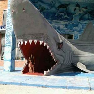 Profile Picture of Paula Solis (@131109526) on Myspace