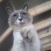 Profile Picture of Carl Andren (@carl.andren.94) on Facebook