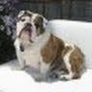 Profile Picture of Joseph Topley73 (@josephtopley73) on Tiktok