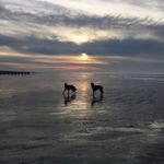 Profile Picture of Claire Bedwell Alexander (@claire.bedwell.alexander) on Instagram