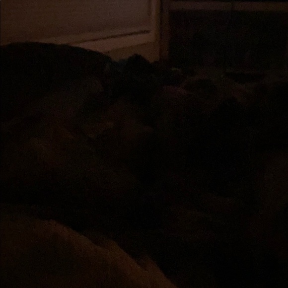 Katelyn Goodenberger - Poshmark Profile Picture of Katelyn Goodenberger (@kgoodenberger) on Poshmark