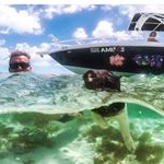 Profile Picture of sylvia beebe (@beebesylvia29) on Instagram