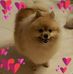 Profile Picture of Dawn Gonzalez (@dawn.gonzalez.5621) on Facebook