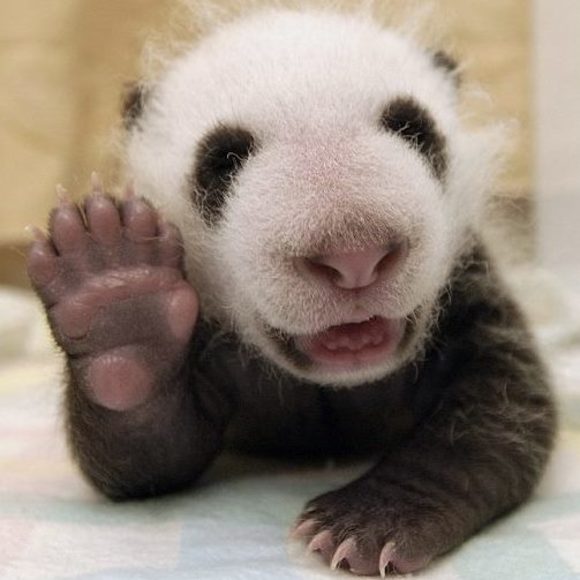 Profile Picture of Sara Hopp (@s_hopp) on Poshmark