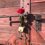 Profile Picture of David Lonsdale (@David-Lonsdale) on Facebook