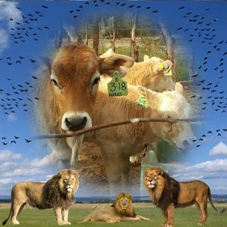 Profile Picture of Juan Haros (@juan.haros.75) on Facebook