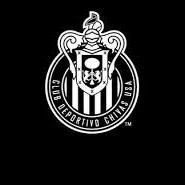 Profile Picture of Daniel Marquez Tamay (@Marquez_Tamayo) on Twitter