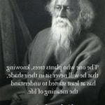 Profile Picture of MattMosher635 (@mattmosher635) on Instagram