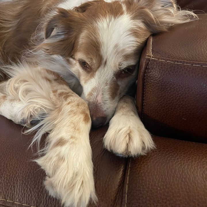 Profile Picture of user587807362171 (@@aprilrustgrisham) on Tiktok