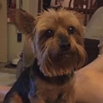 Profile Picture of Annabelle Lopez (@annabelle.lopez.750) on Instagram