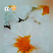 Profile Picture of Ayesha Sheikh (@ayesha_sheikh123) on Youtube