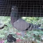 Profile Picture of James Gamlot (@James-Gamlot) on Facebook