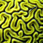 Profile Picture of Jaime Rojas  l  Image Hunter (@jaimerojas7778) on Instagram