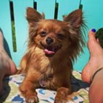 Spencer Bean - Instagram Profile Picture of Spencer Bean (@spencerbeanz) on Instagram