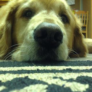 Profile Picture of Nick Tokarchuk (@nick.tokarchuk) on Facebook