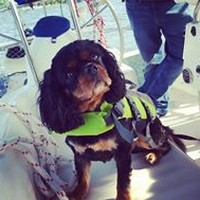 Profile Picture of Andrea Caines (@andrea-caines) on Quora