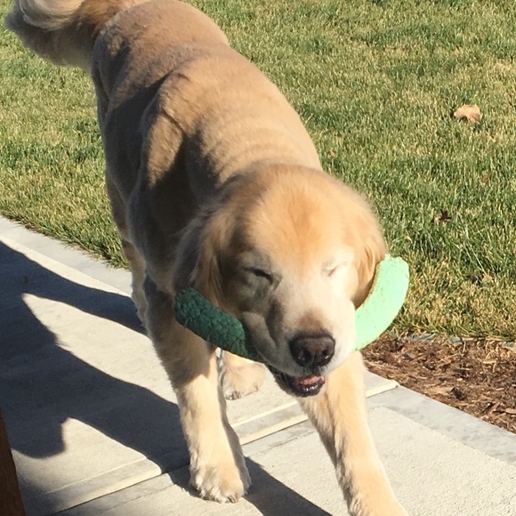 Kendall Jo - Poshmark Profile Picture of Kendall Jo (@kendallwagz) on Poshmark