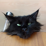 Profile Picture of Alexander Kirichenko (@alexanderkirichenko188) on Youtube