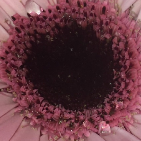 Profile Picture of Emeli Cardeans (@_12emic) on Poshmark