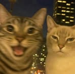 Shobe Delos Santos - Facebook Profile Picture of Shobe Delos Santos (@Shobe-Delos-Santos) on Facebook