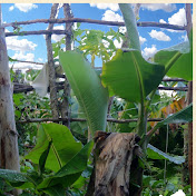 Profile Picture of Charles Christopher Fenton (@charleschristopherfenton2925) on Youtube