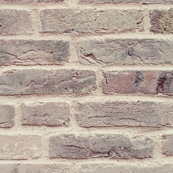 Profile Picture of Lizbeth Barrera (@lizzzy_775) on Poshmark