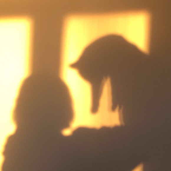 Profile Picture of Dani Picerno (@0beydani) on Poshmark